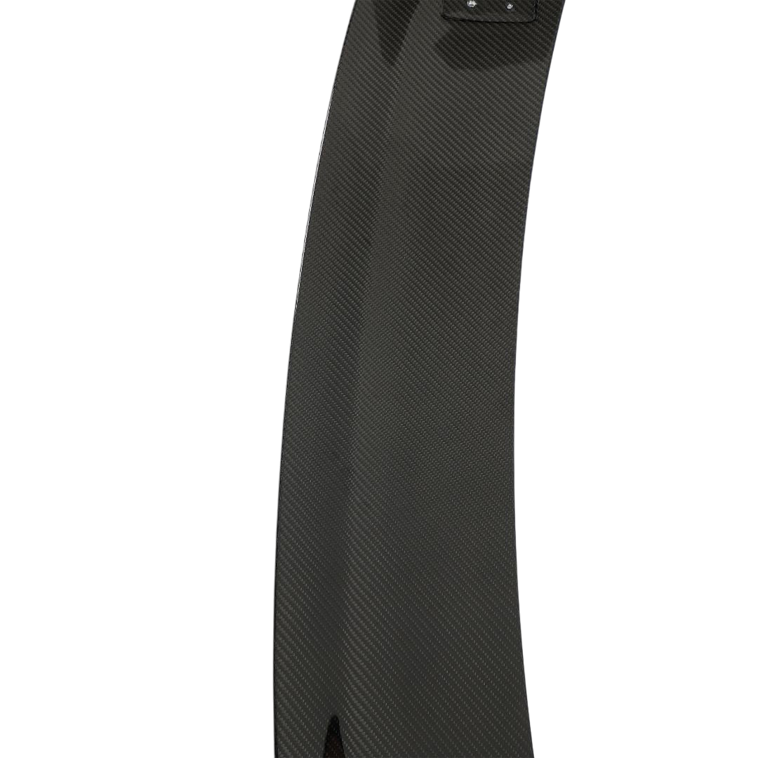 Carbon Fiber Track Wing | Audi 2023 R8