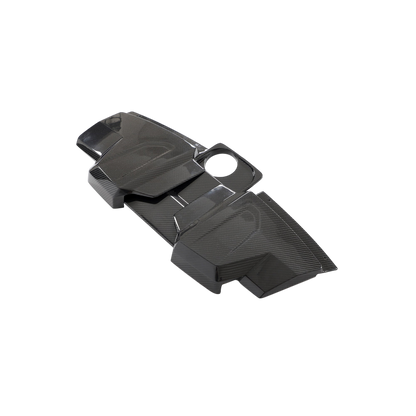 Carbon Fiber Engine Dress Kit | Audi 2023 R8