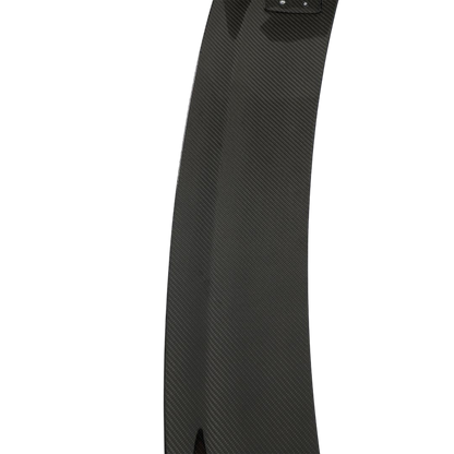Carbon Fiber Track Wing | Audi 2023 R8